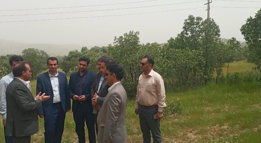 وضعیت بحرانی پوشش گیاهی شهرستان