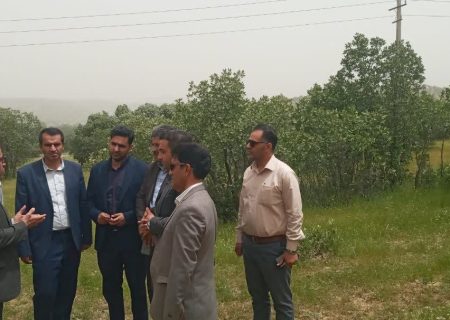 وضعیت بحرانی پوشش گیاهی شهرستان