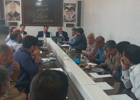 بررسی مسائل و مشکلات دهیاری‌های بخش ویسیان