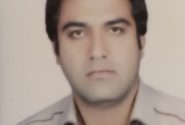 خون نای کش در شریانهای شرکت نفت چنار