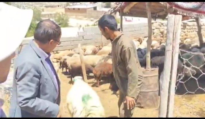 دامداران چگنی عشق و ارادت قلبی خود به اهل بیت نشان دادند