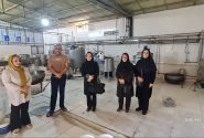 بازدید  واحدهای پیشران و صندوق‌های اعتبارات خُرد زنان روستایی