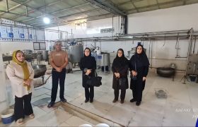 بازدید  واحدهای پیشران و صندوق‌های اعتبارات خُرد زنان روستایی