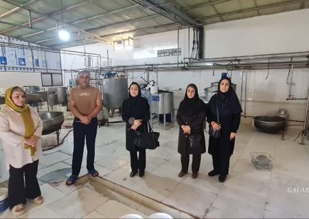 بازدید  واحدهای پیشران و صندوق‌های اعتبارات خُرد زنان روستایی