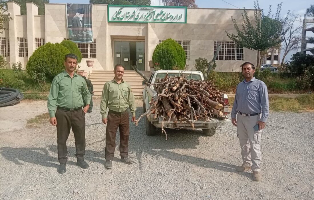 شناسایی عامل قطع و آتش‌زدن ۲۰ اصله درخت بلوط