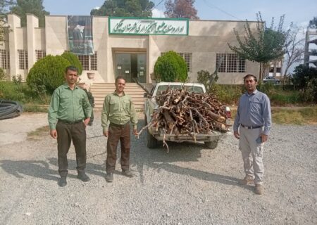 شناسایی عامل قطع و آتش‌زدن ۲۰ اصله درخت بلوط